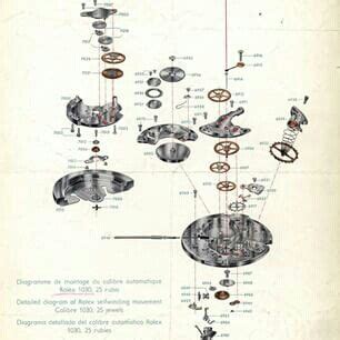 rolex components|rolex parts diagram.